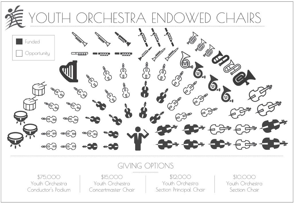 Conducting a Youth Orchestra